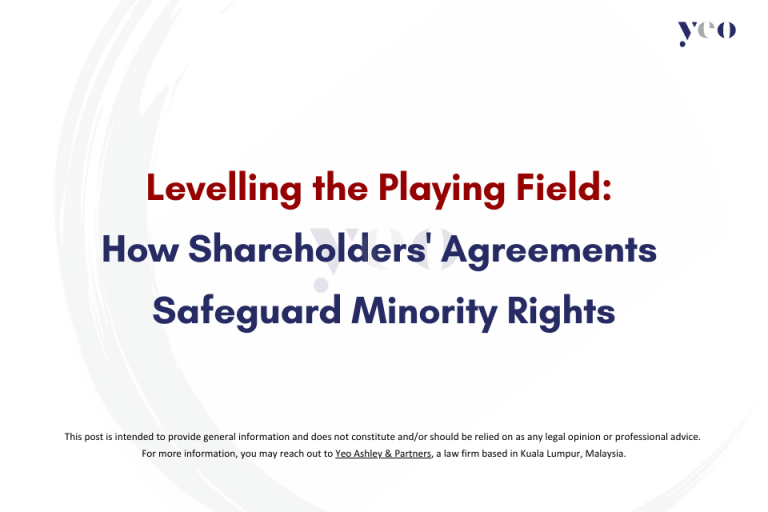 Levelling the Playing Field: How Shareholders’ Agreements Safeguard Minority Rights