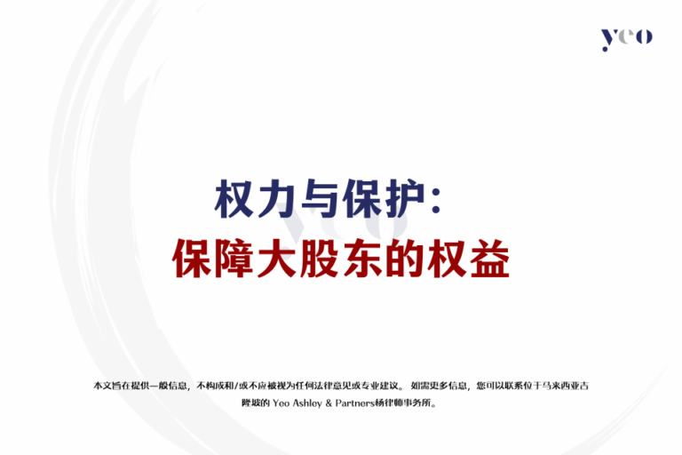权力与保护：保障大股东的权益